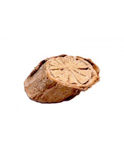 Guduchi en gélules – Image 2