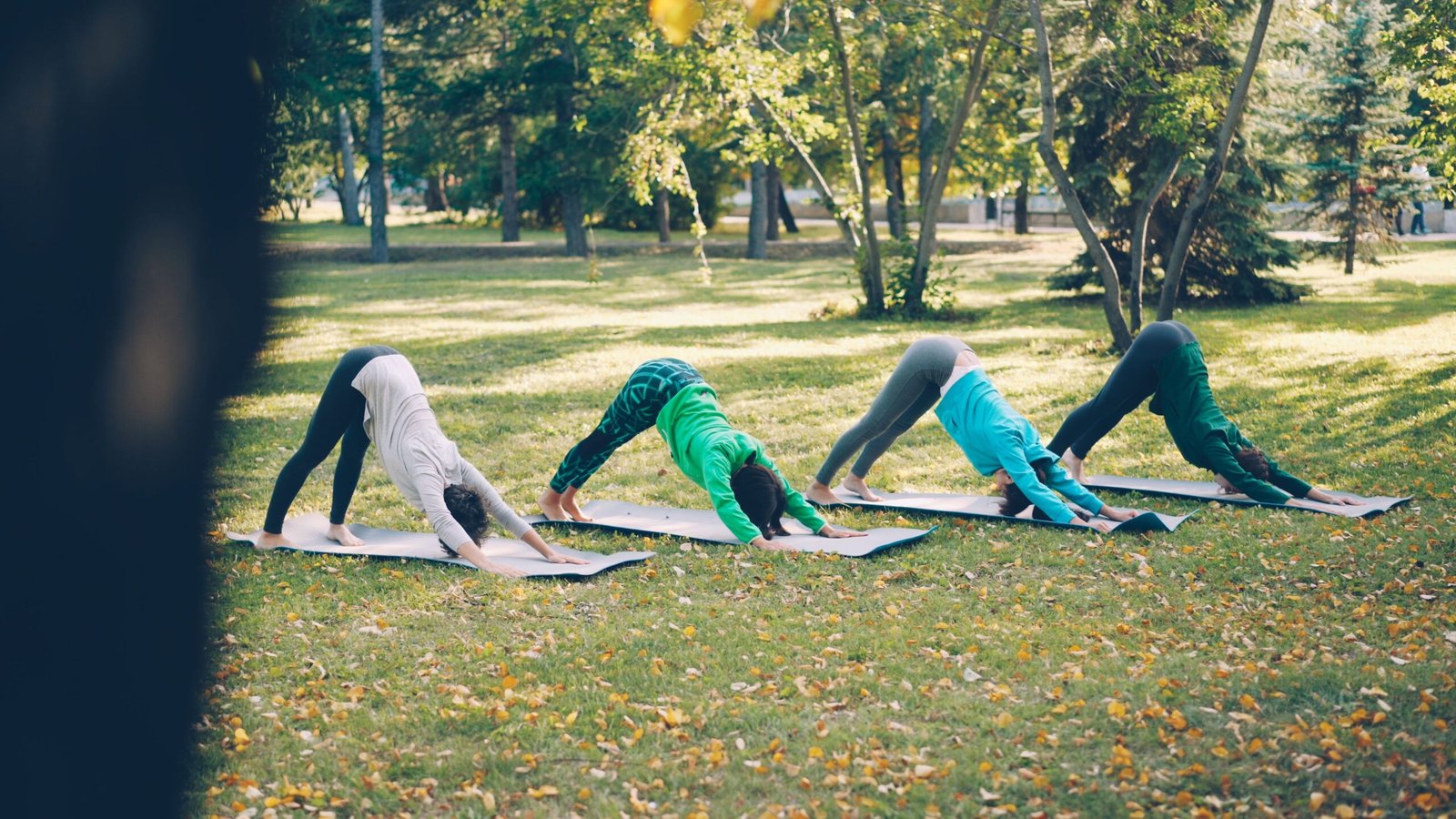 Four individuals practicing yoga poses on mats in a sunny outdoor park setting.