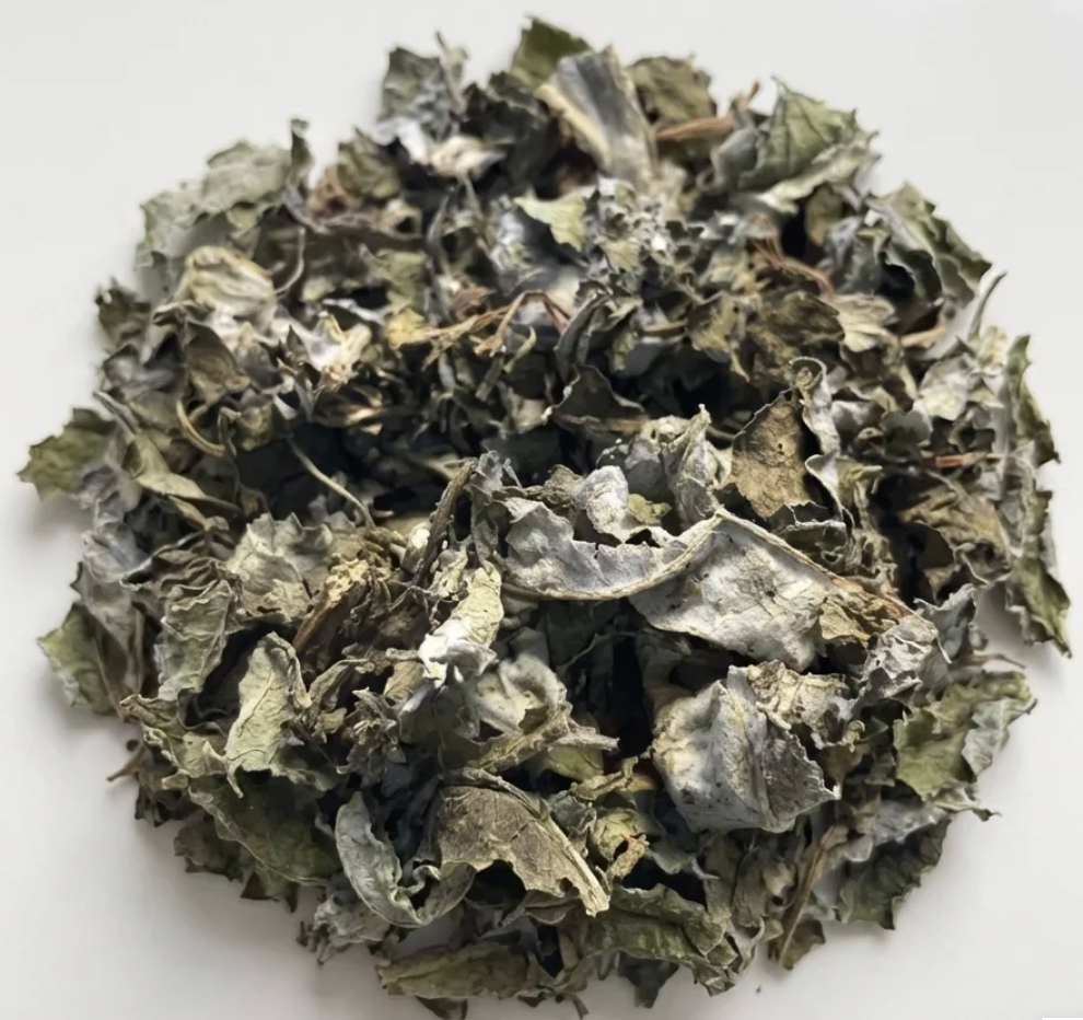 Feuilles d'artichaut coupées