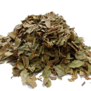 Feuilles de myrtille bio coupées