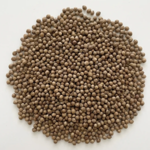 Graines de coriandre entieres et biologiques