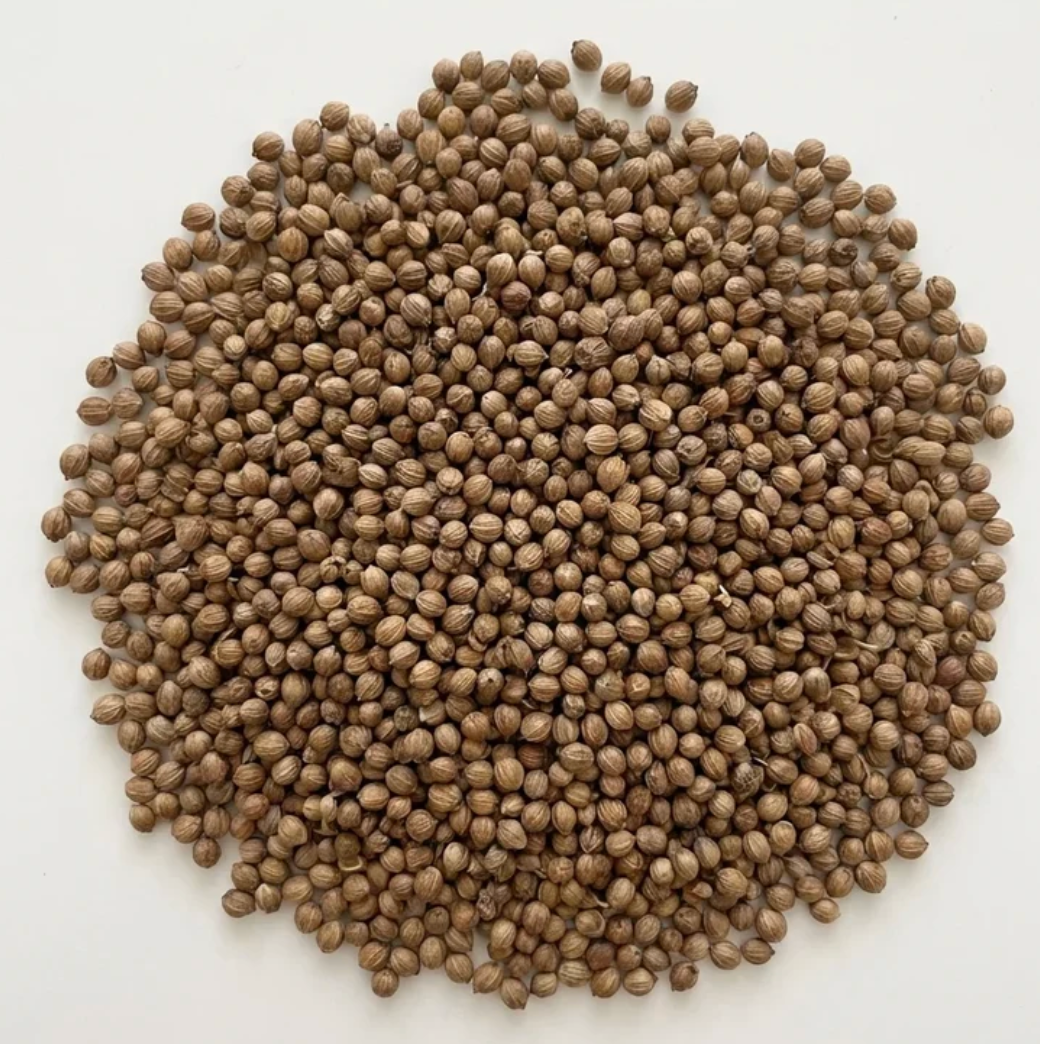 Graines de coriandre entieres et biologiques